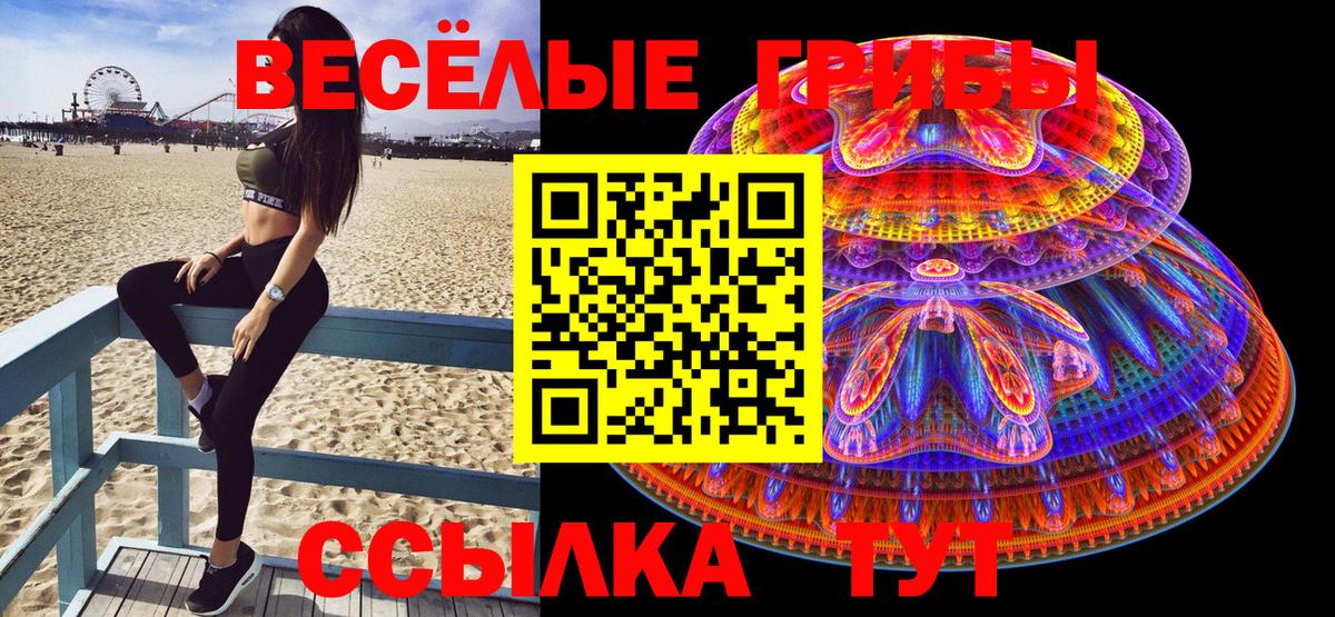 Курган  Галлюциногенные грибы Magic Shrooms  Вход с VPN 